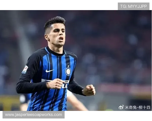 汉堡青训新星崭露头角，未来发展趋势备受关注