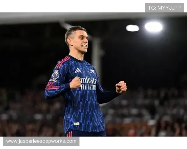 特罗萨德长期效率与价值解析:被低估的贡献 特罗萨德长期效率与价值解析:被低估的贡献